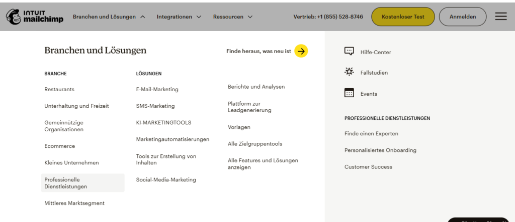 Mailchimp Features